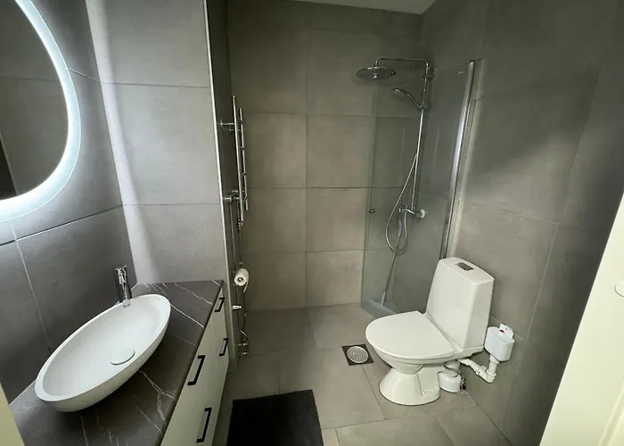 Elmo Ροβανιέμι